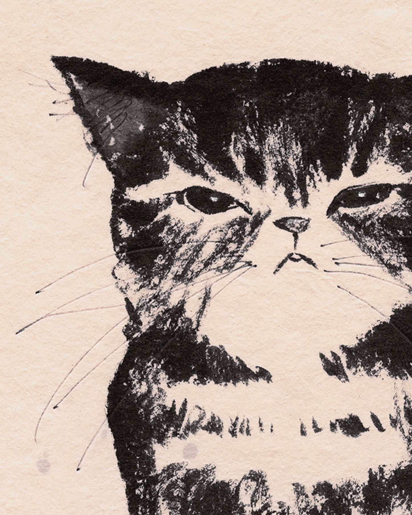 Eepy Cat | Fine Art Print