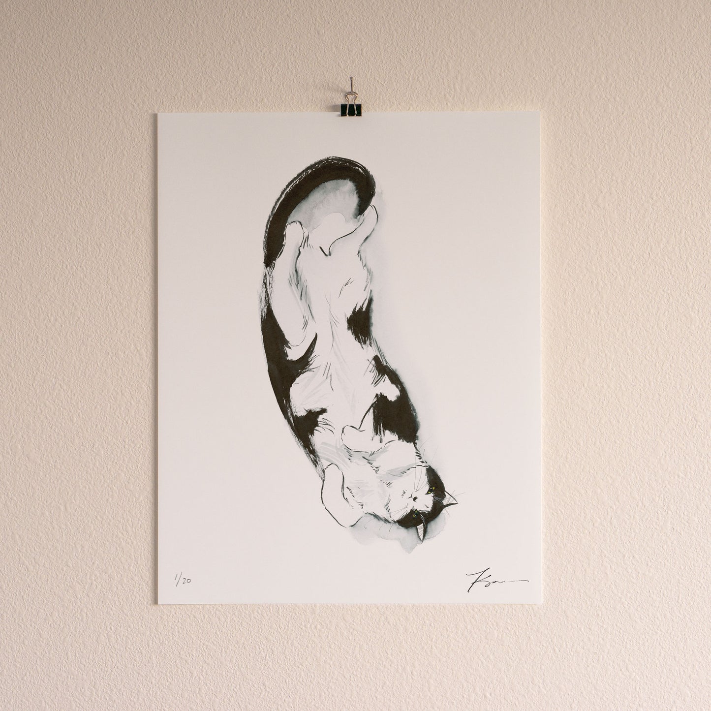 Exposed Belly, Proceed with Caution | Limited Edition Print