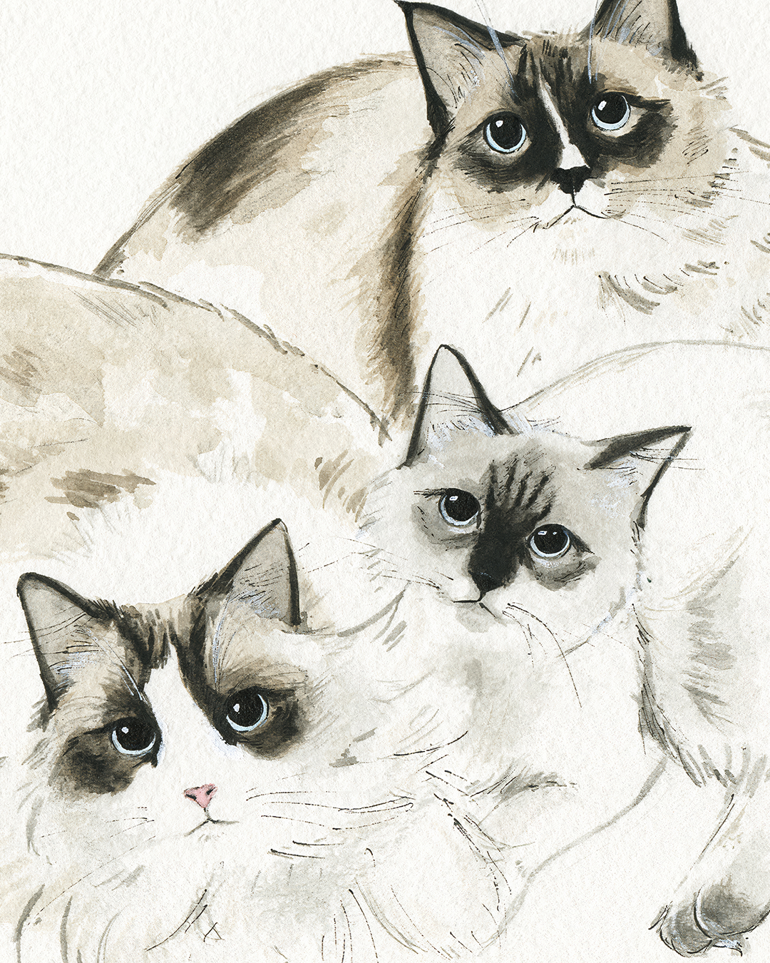 Custom Pet Portraits