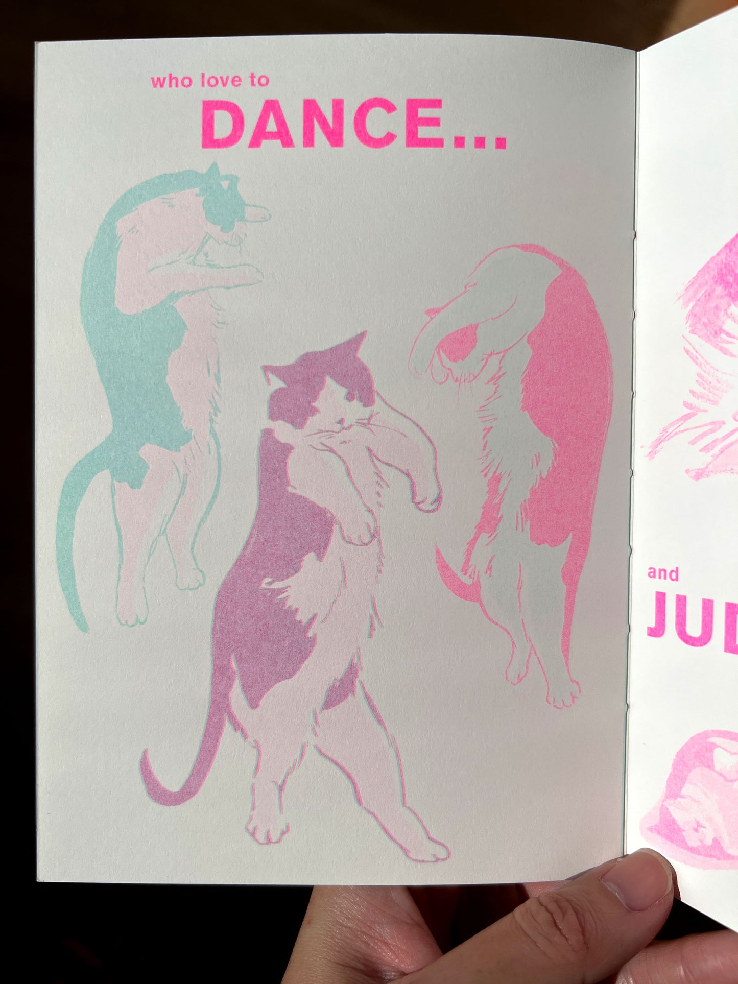 Wally the Cat | Risograph Zine