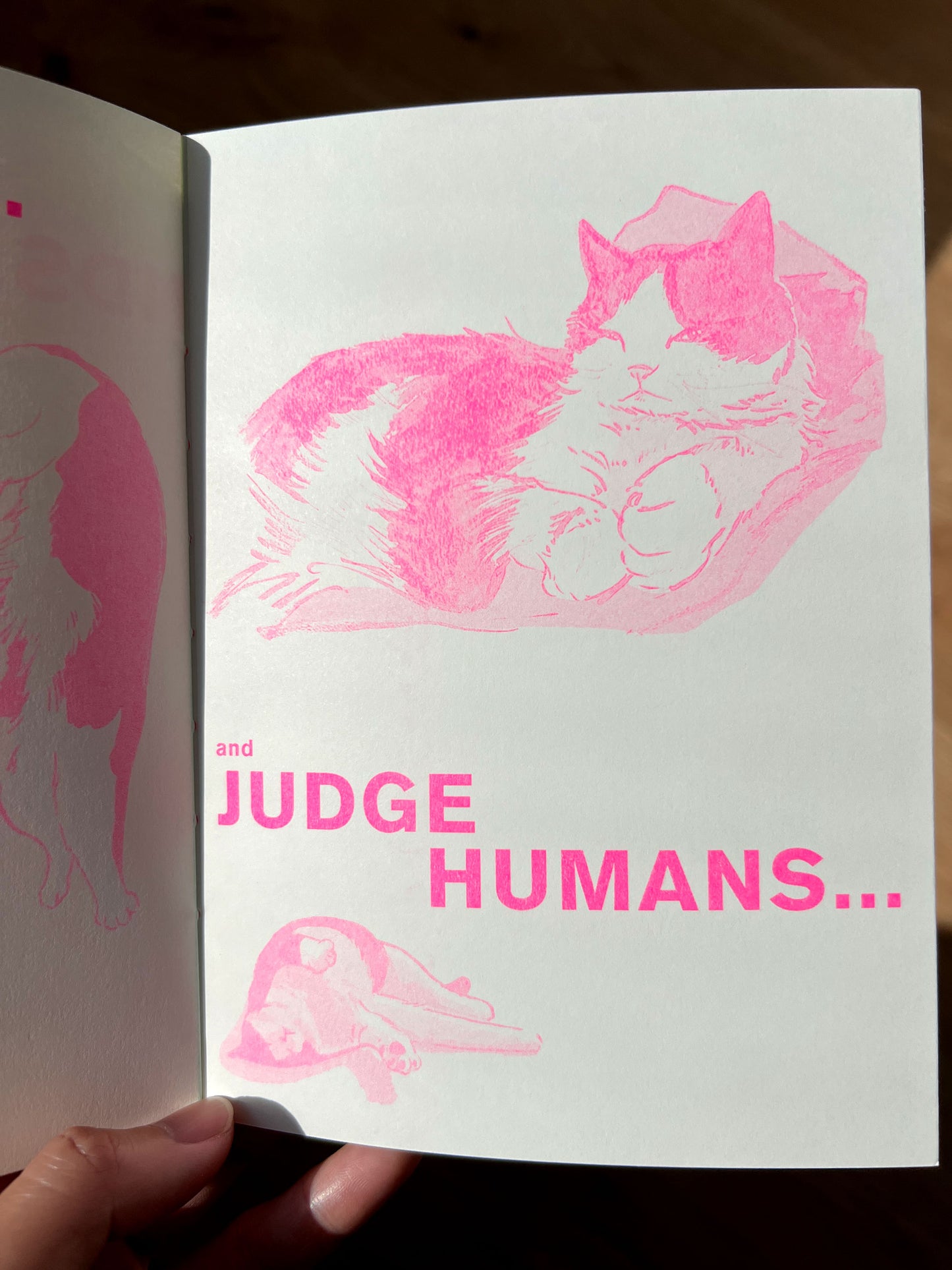 Wally the Cat | Risograph Zine