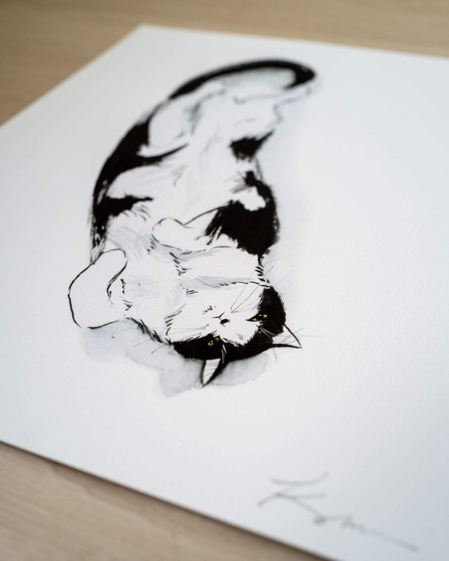 Exposed Belly, Proceed with Caution | Limited Edition Print