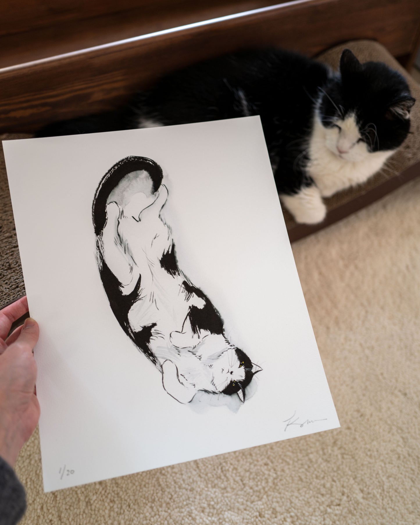 Exposed Belly, Proceed with Caution | Limited Edition Print
