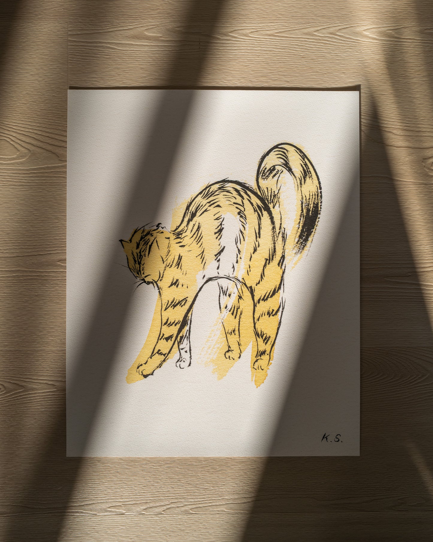 Scrunchy Kitty | Fine Art Print