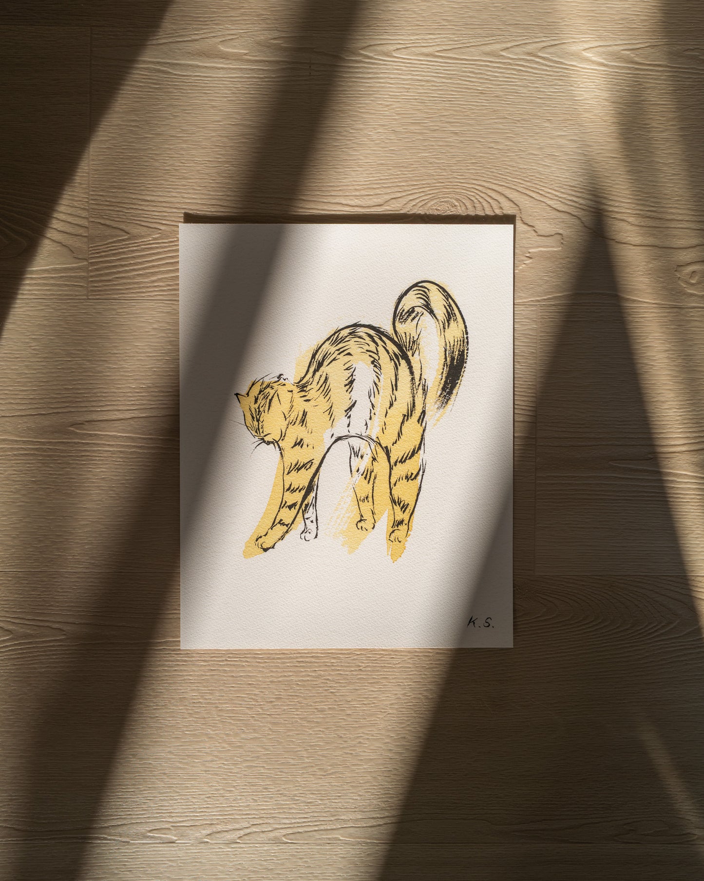 Scrunchy Kitty | Fine Art Print