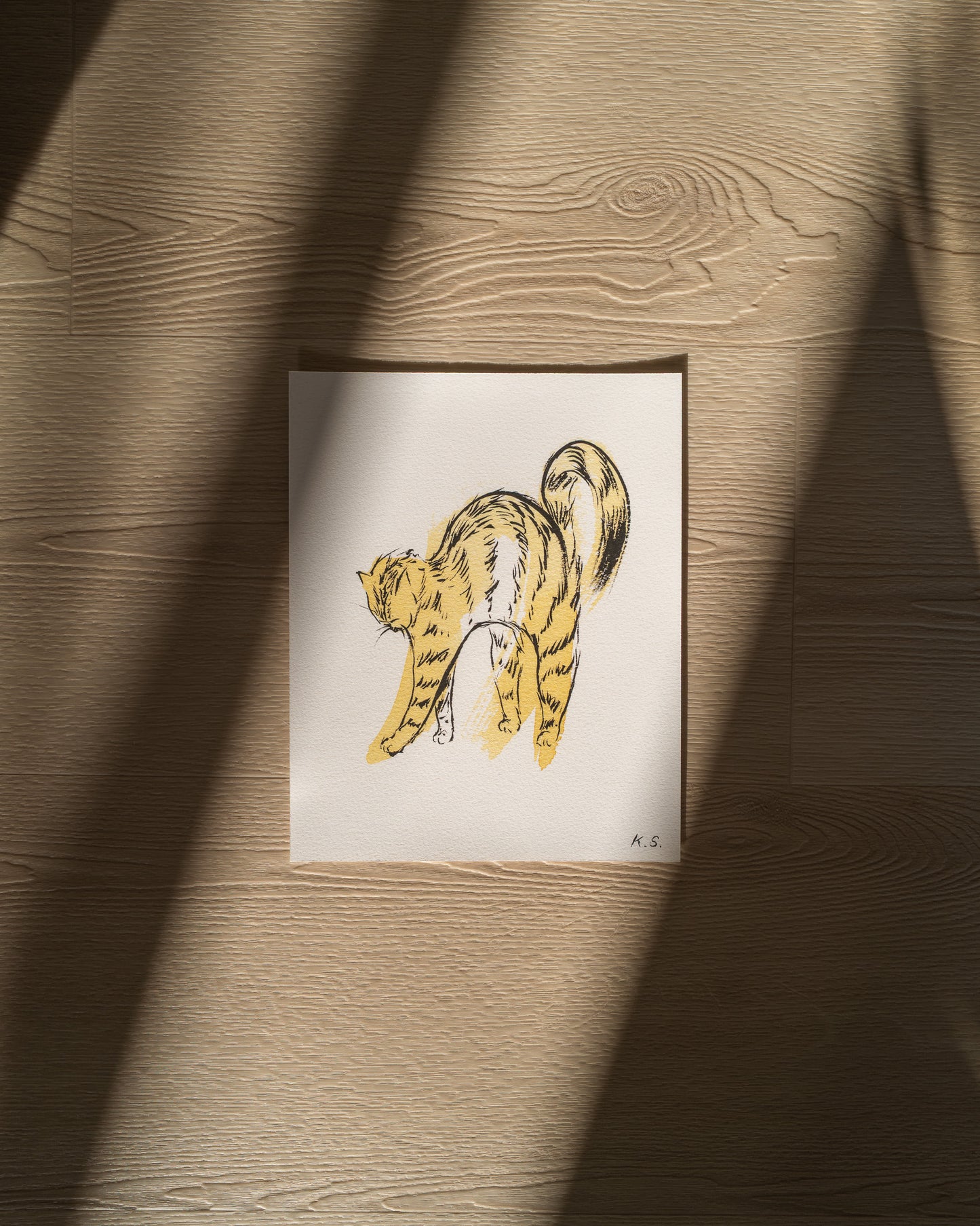 Scrunchy Kitty | Fine Art Print