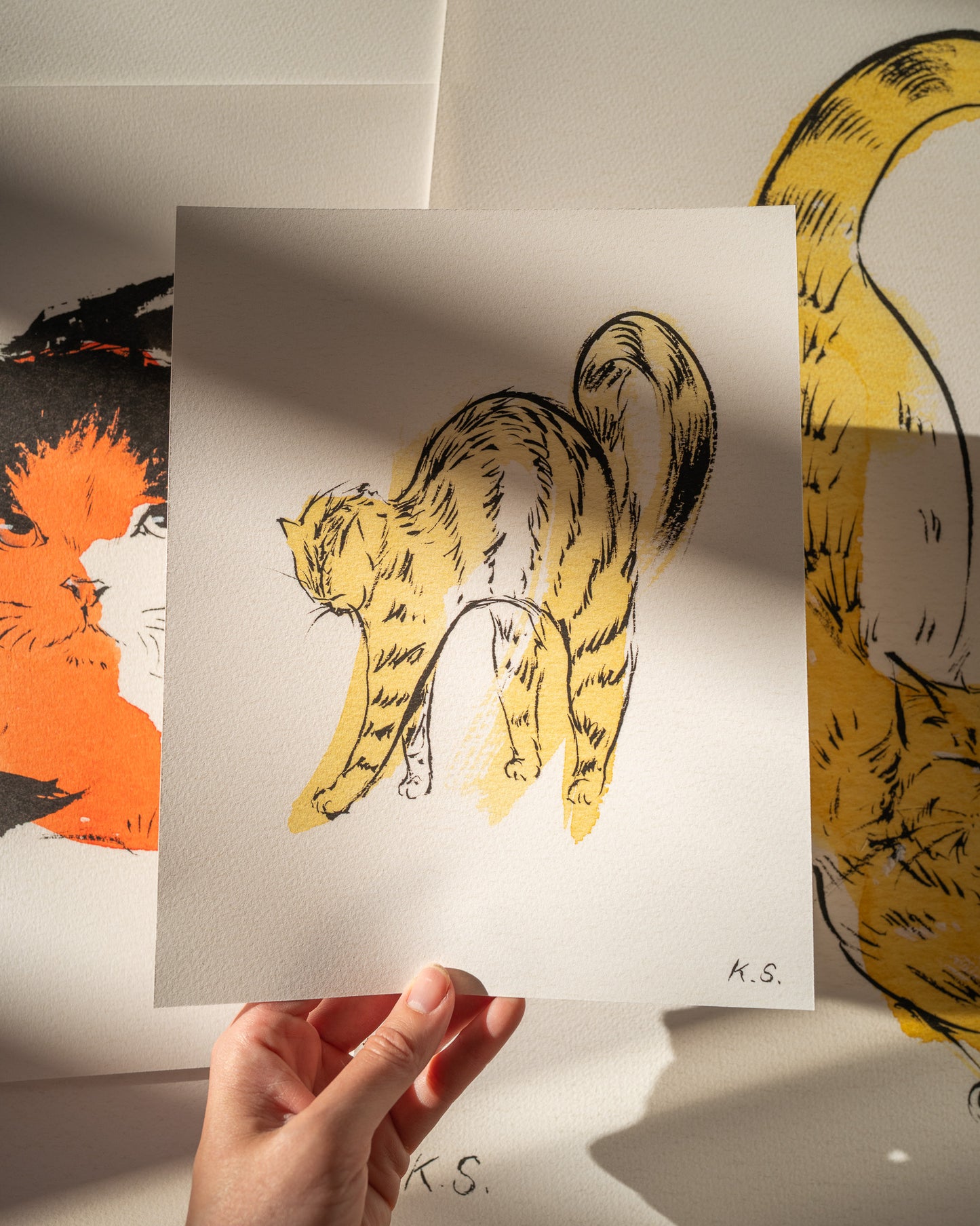 Scrunchy Kitty | Fine Art Print
