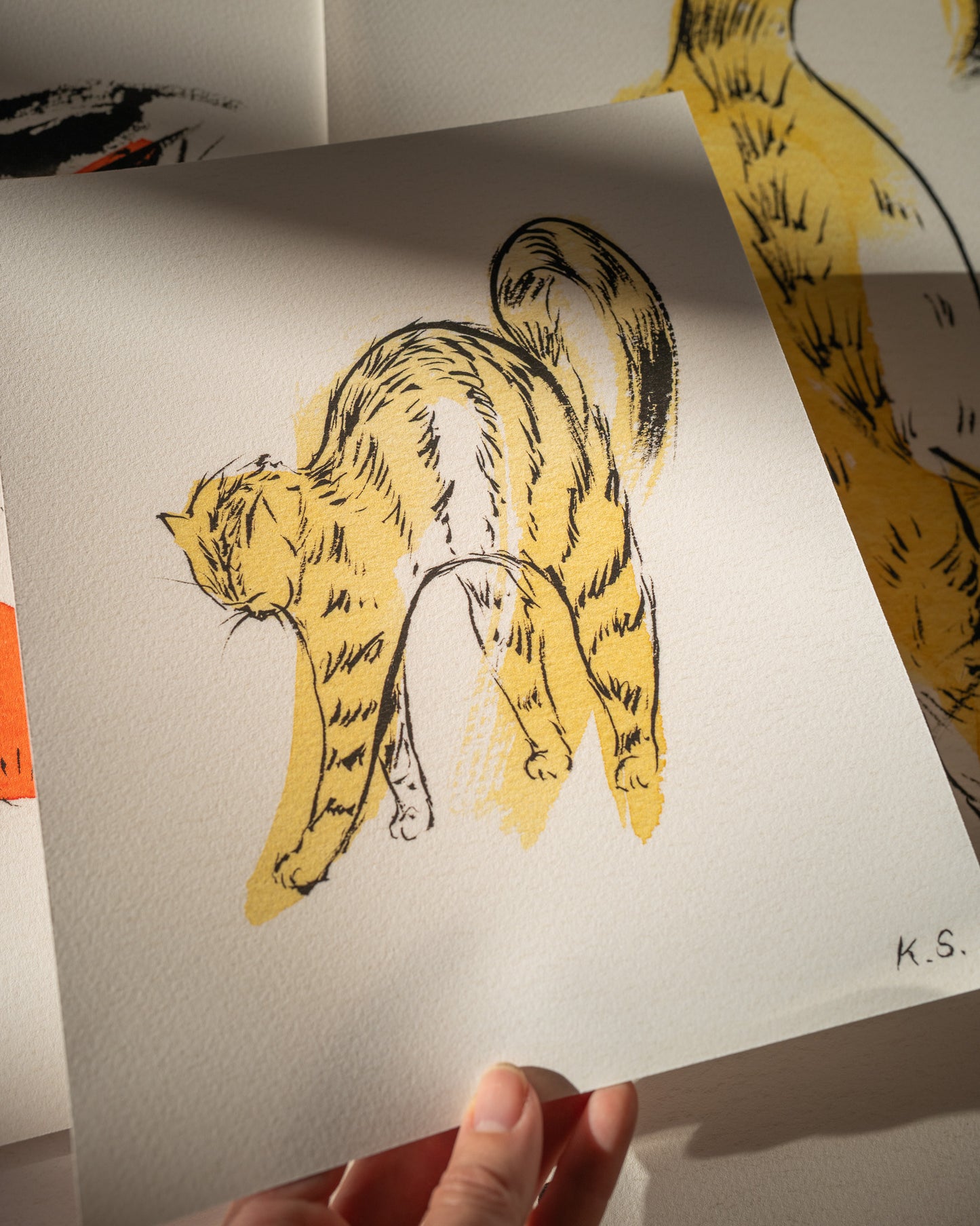 Scrunchy Kitty | Fine Art Print