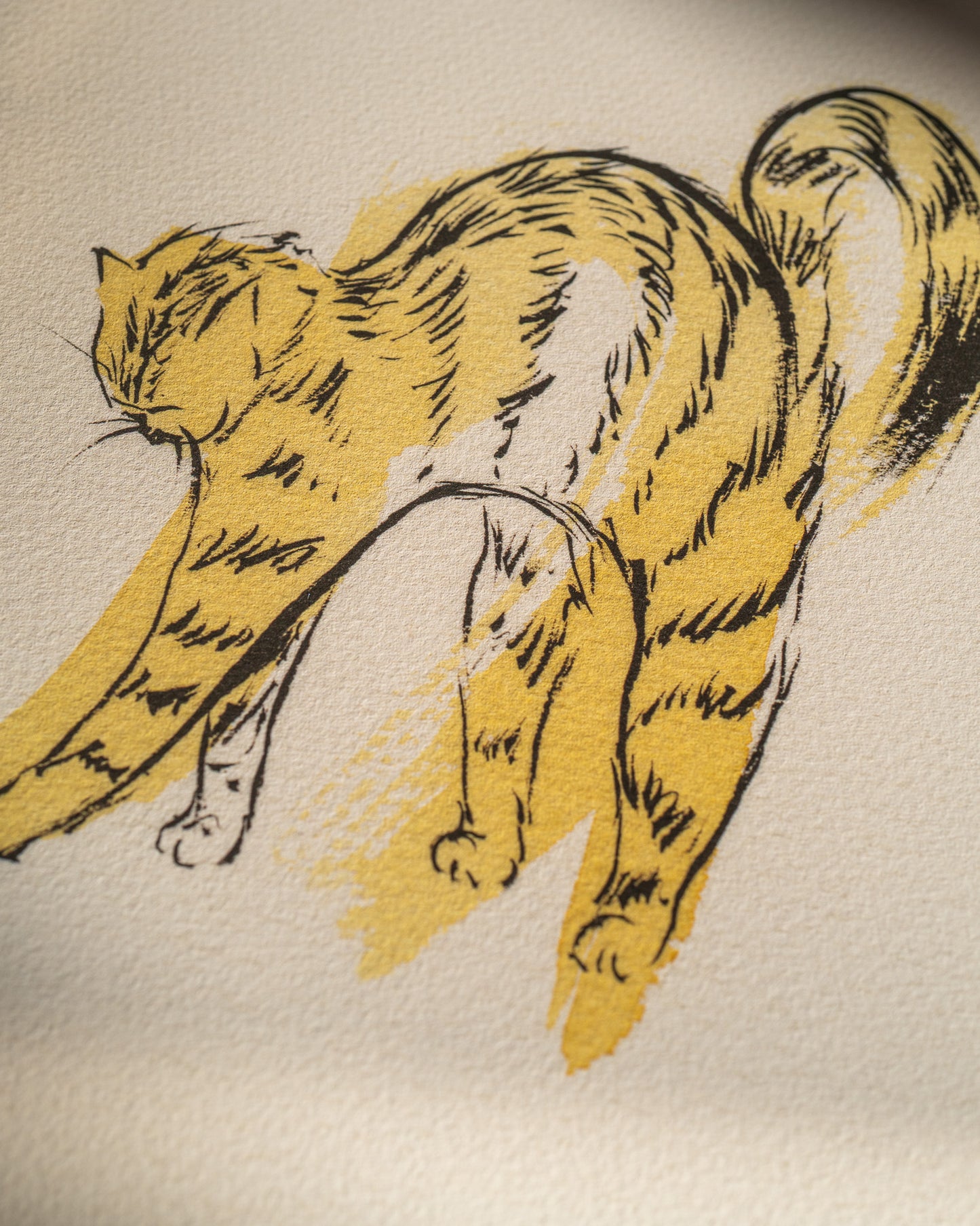 Scrunchy Kitty | Fine Art Print