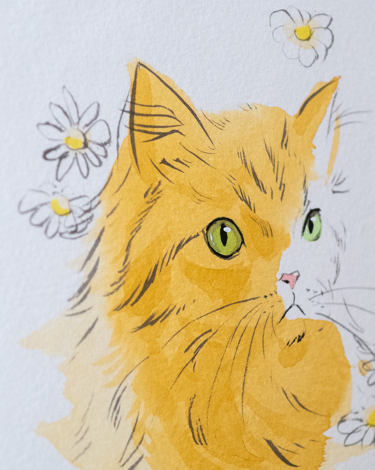 Daisy Kitty | 5" x 7" | Original Painting