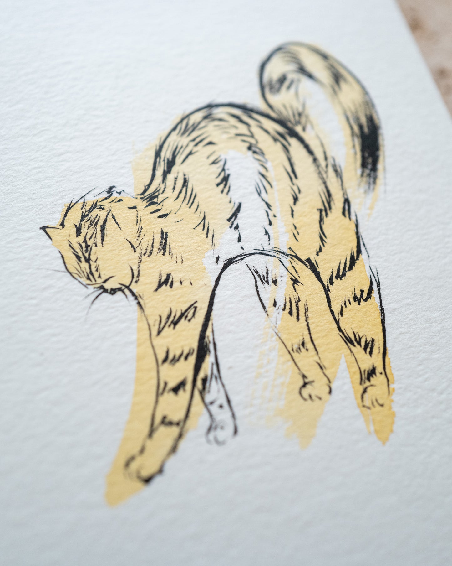 Scrunchy Kitty | 5" x 7" | Original Painting