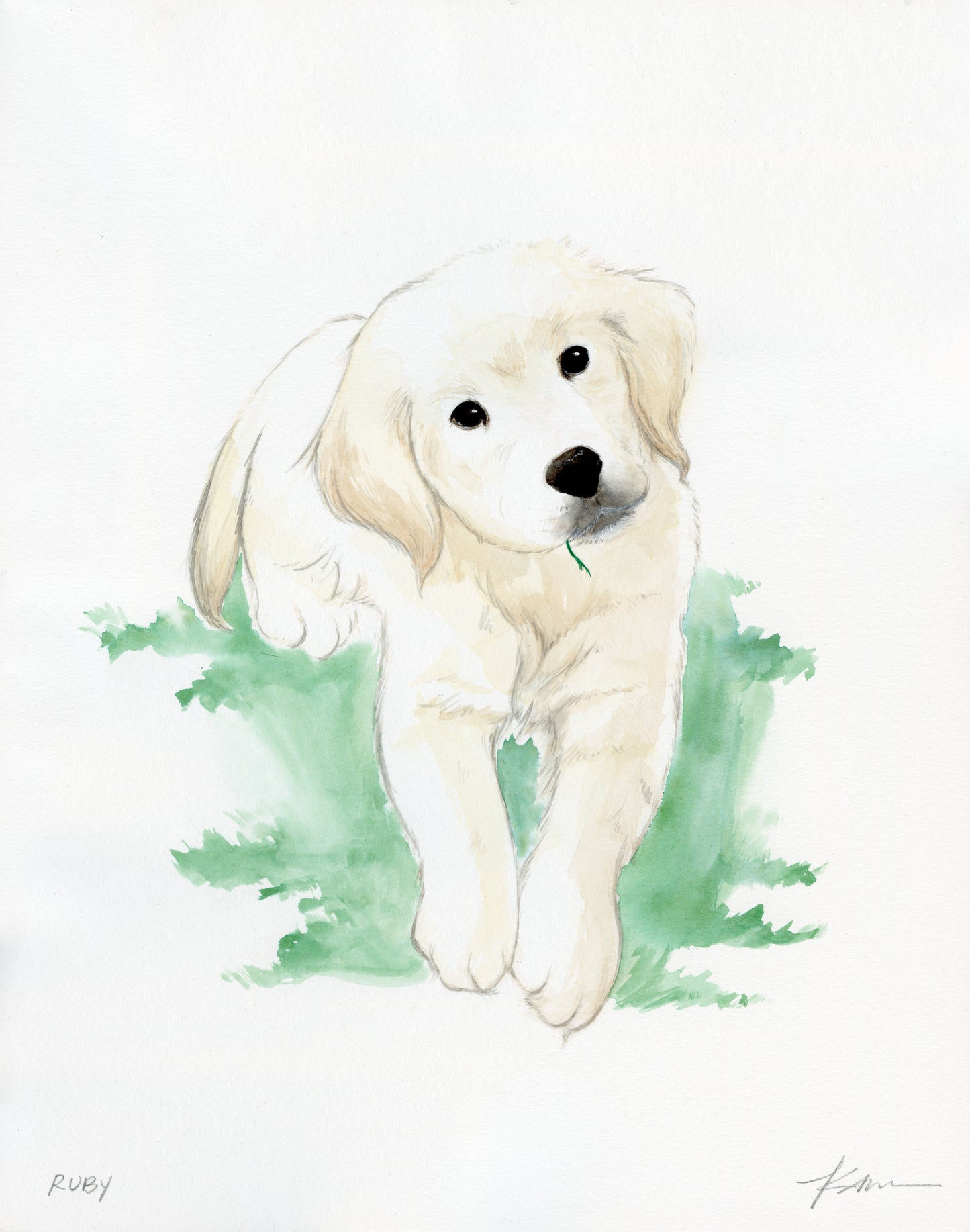 Custom Pet Portraits