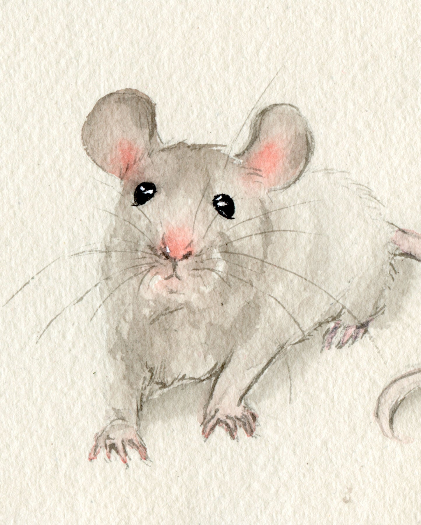 Rat Zodiac | A6 | Original Painting