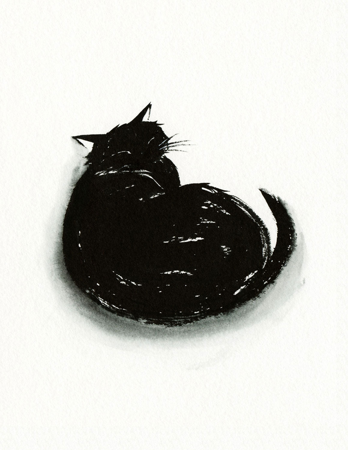 Curl | Limited Edition Print
