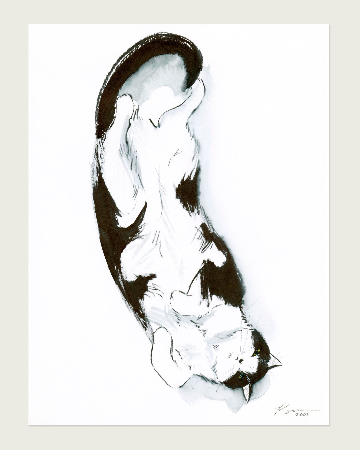 Exposed Belly, Proceed with Caution | 9" x 12" |  Original Artwork