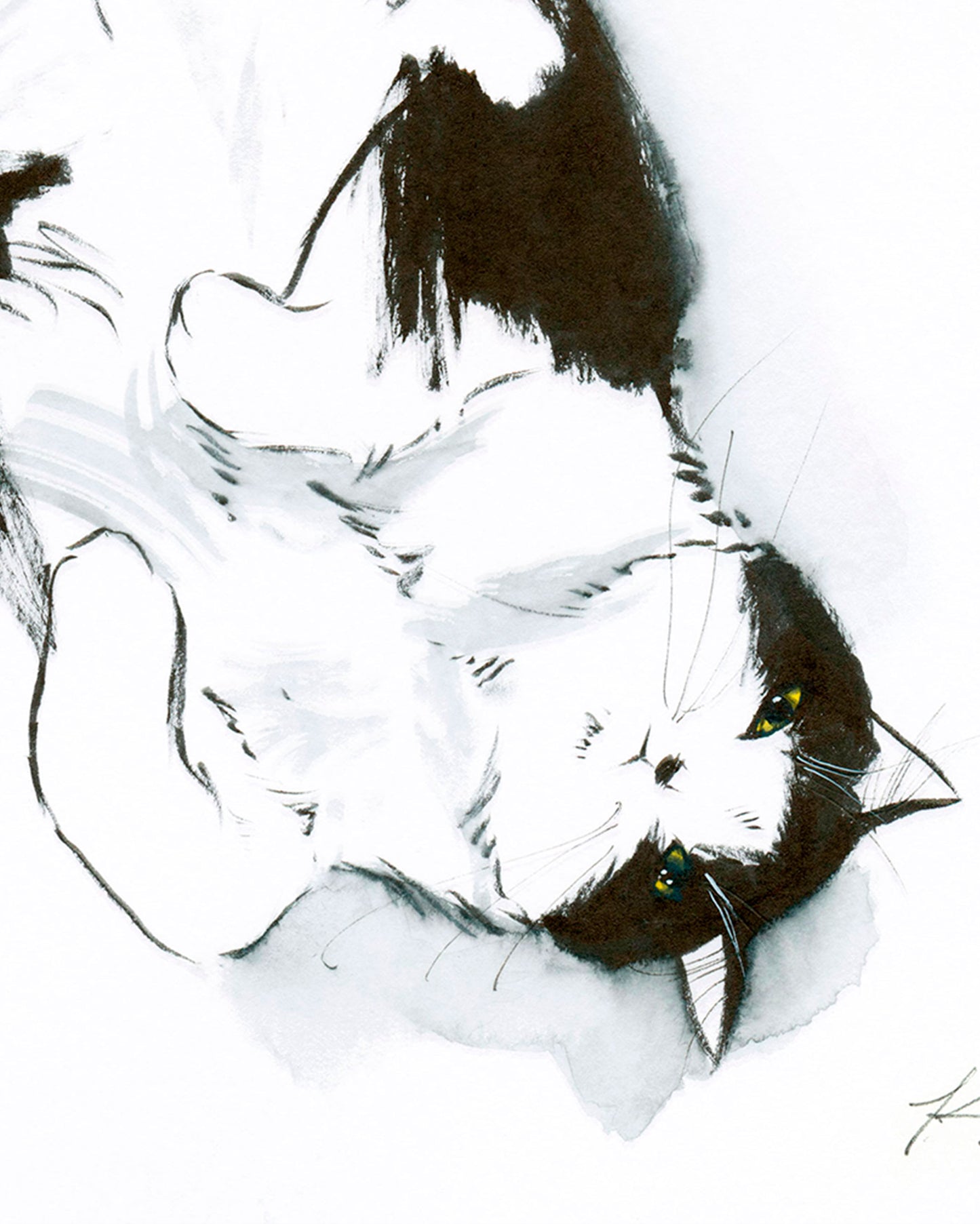 Exposed Belly, Proceed with Caution | 9" x 12" |  Original Artwork