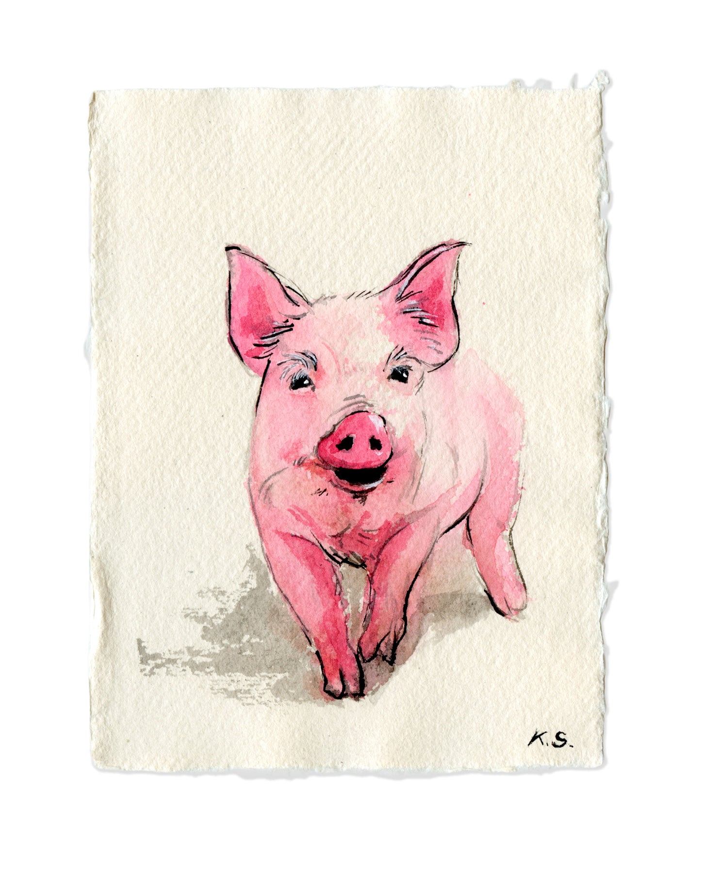 Pig Zodiac | A6 |  Original Painting