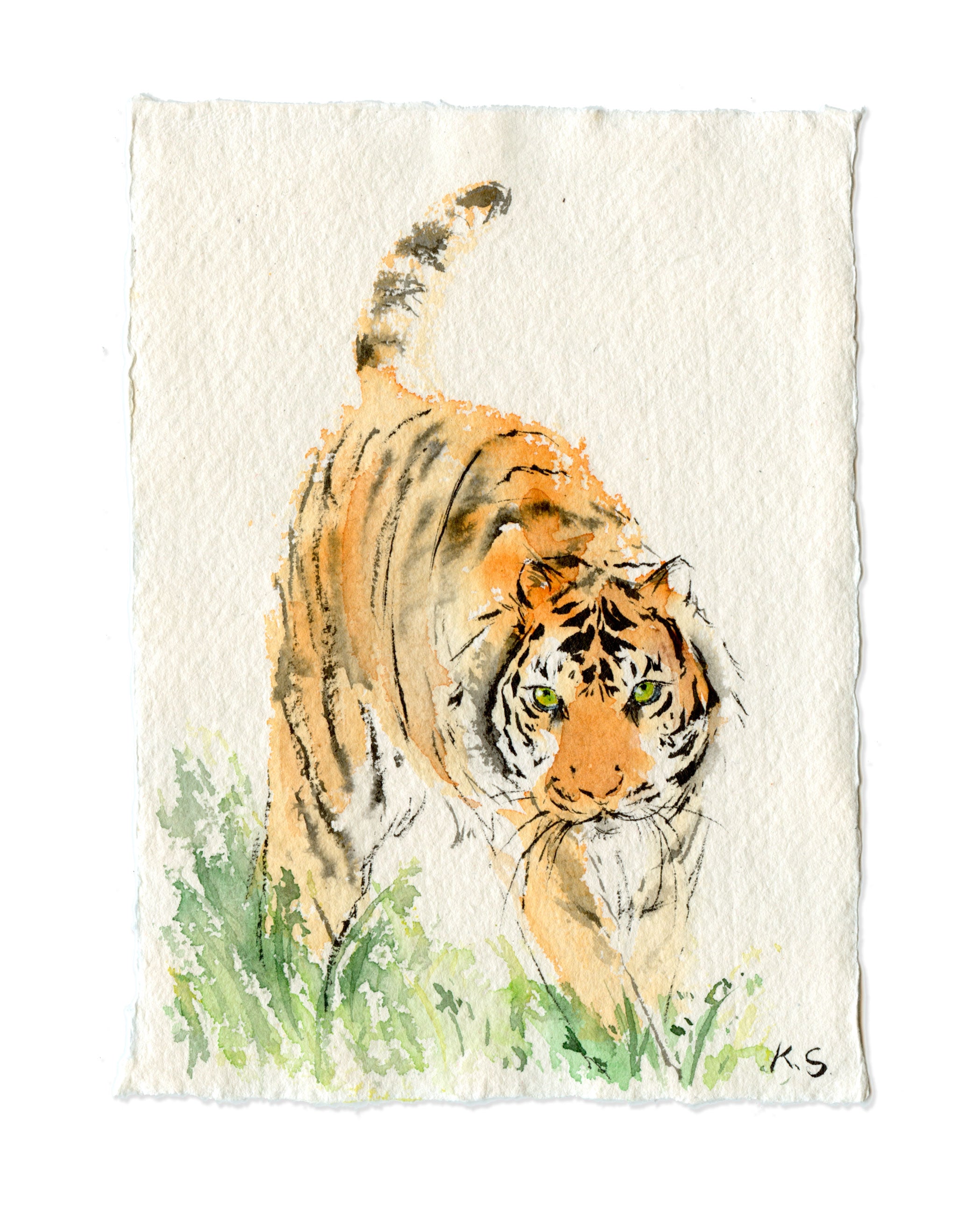 Tiger Zodiac | A6 | Original Painting – ksustudios