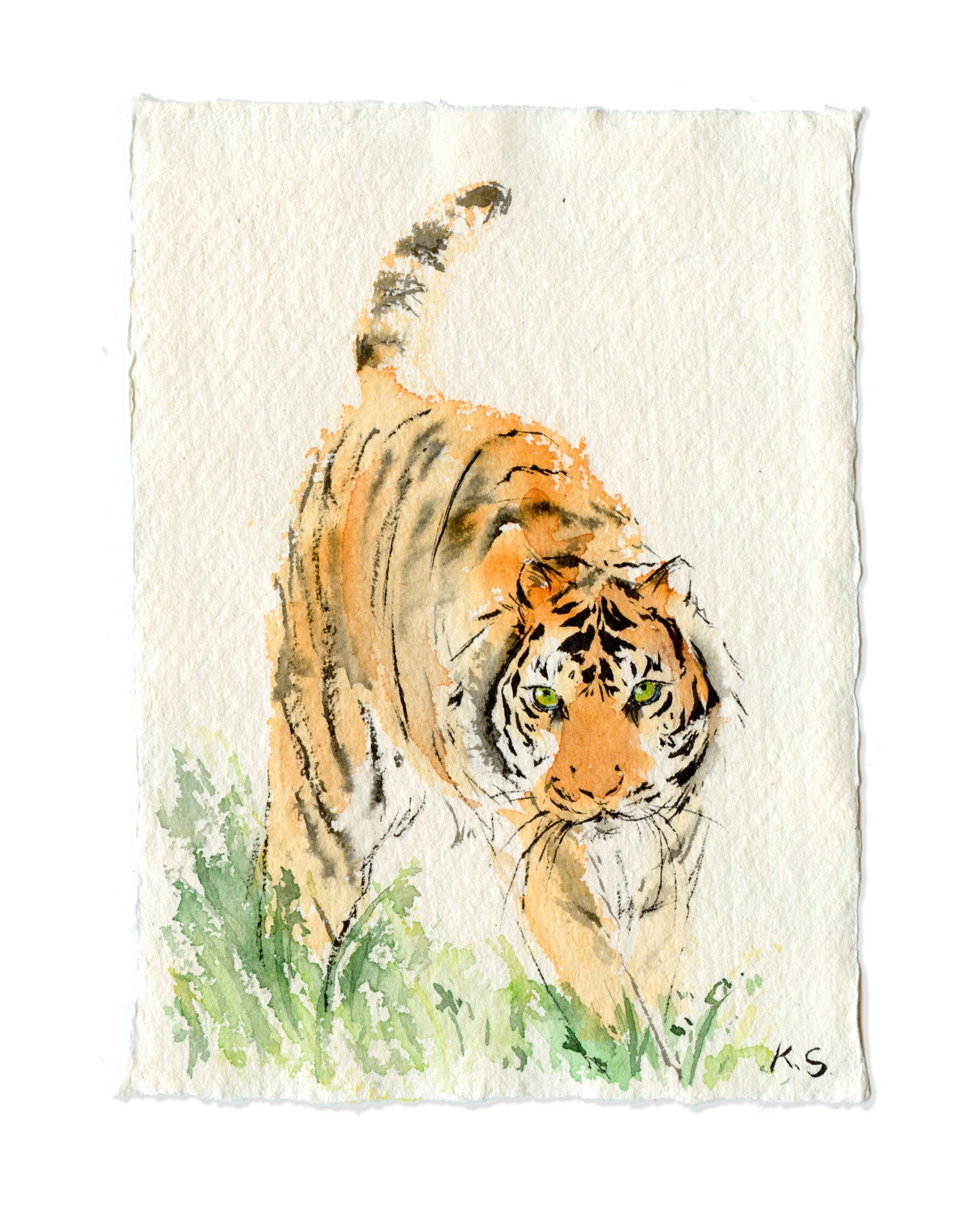 Tiger Zodiac | A6 |  Original Painting